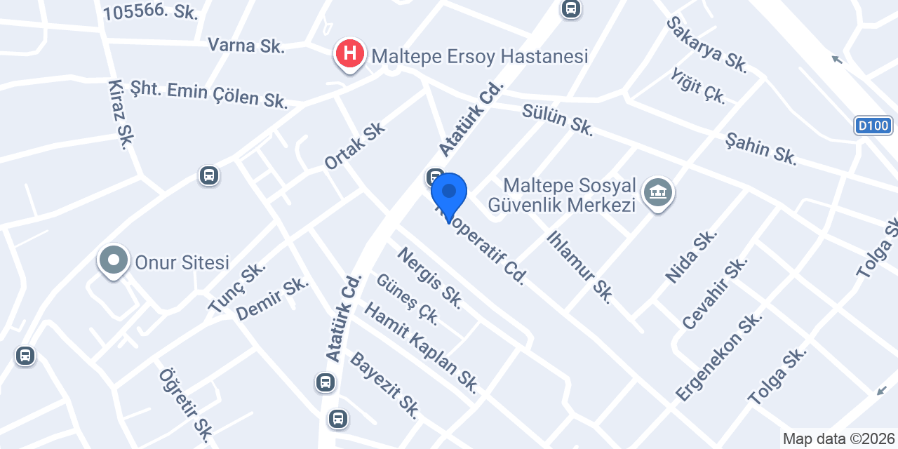 Maltepe car servis konumu