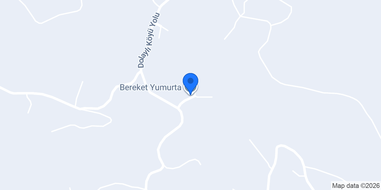 Bereket Yumurta konumu