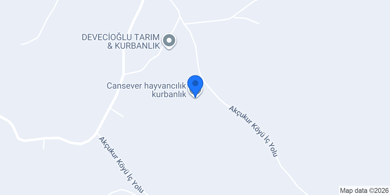 Cansever hayvancılık kurbanlık konumu