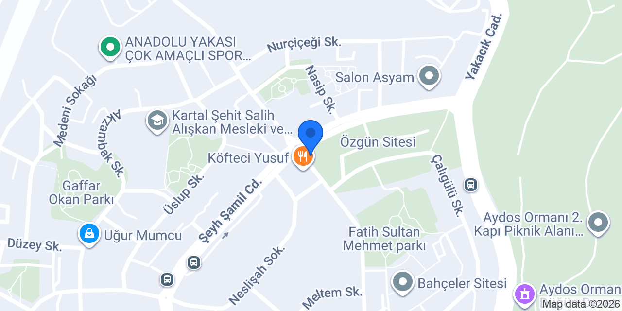 Terzi Fehmi konumu