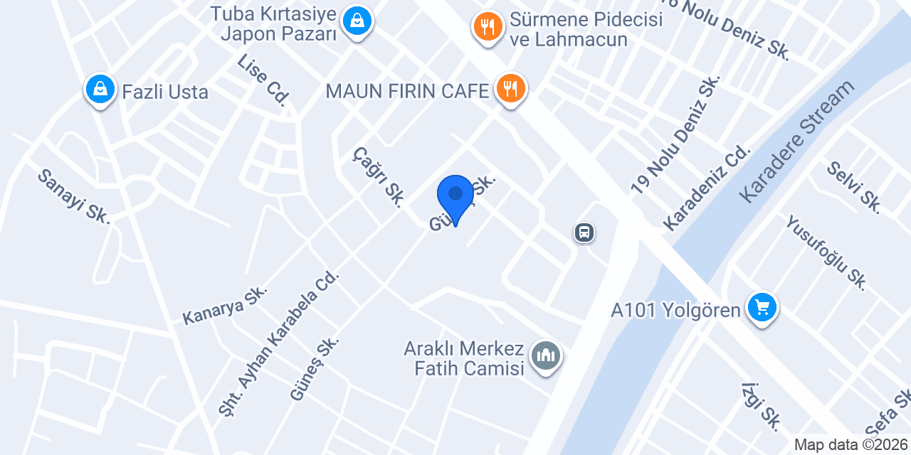 DİLER HALI YIKAMA FABRİKASI konumu