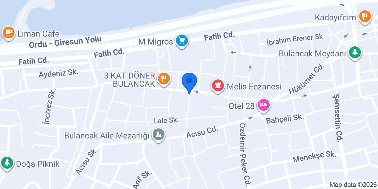 Palmiye Organizasyon konumu