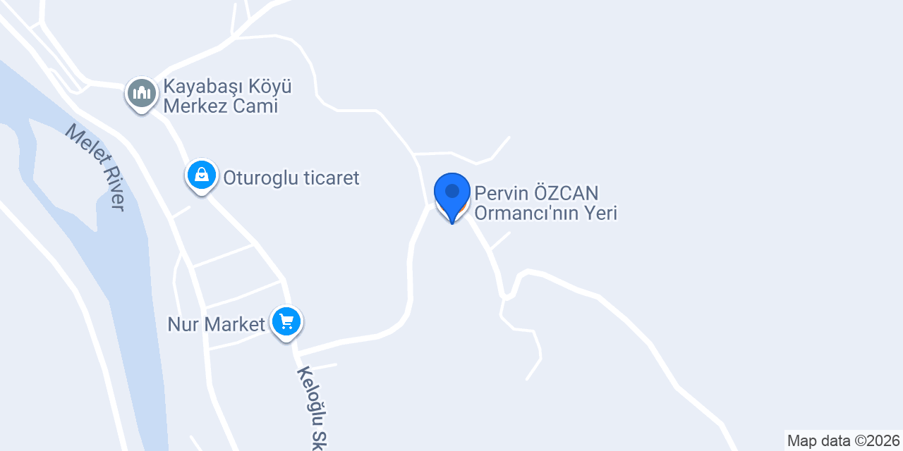 Pervin ÖZCAN Ormancı'nın Yeri konumu