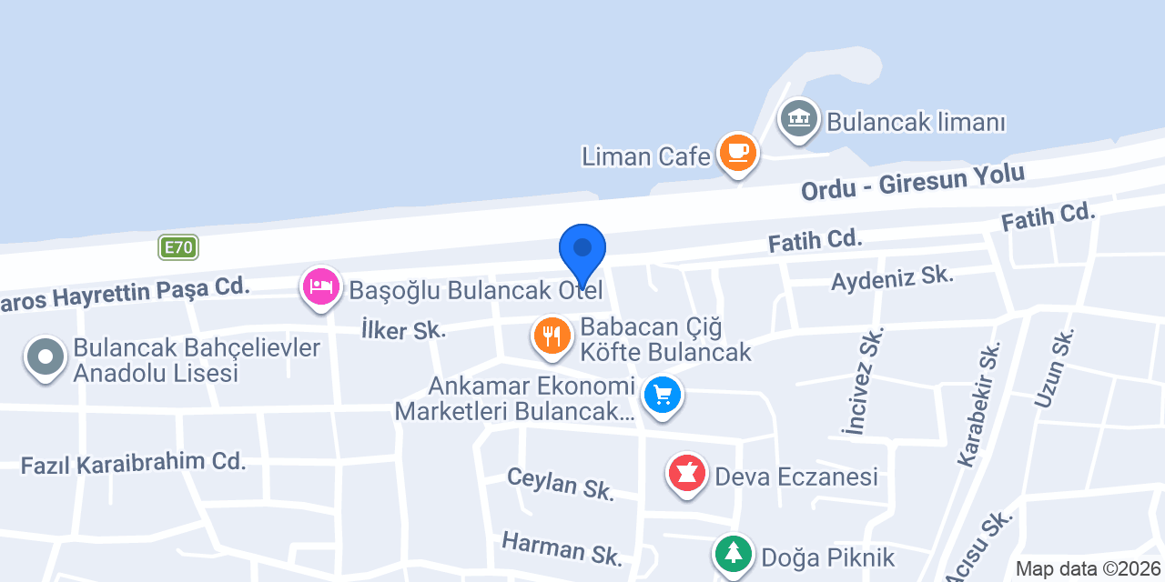 Expert Şömine ve Baca Sistemleri konumu