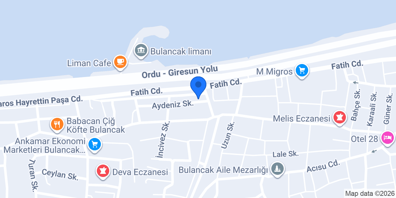 Arslan Hafriyat - Necmi Arslan konumu