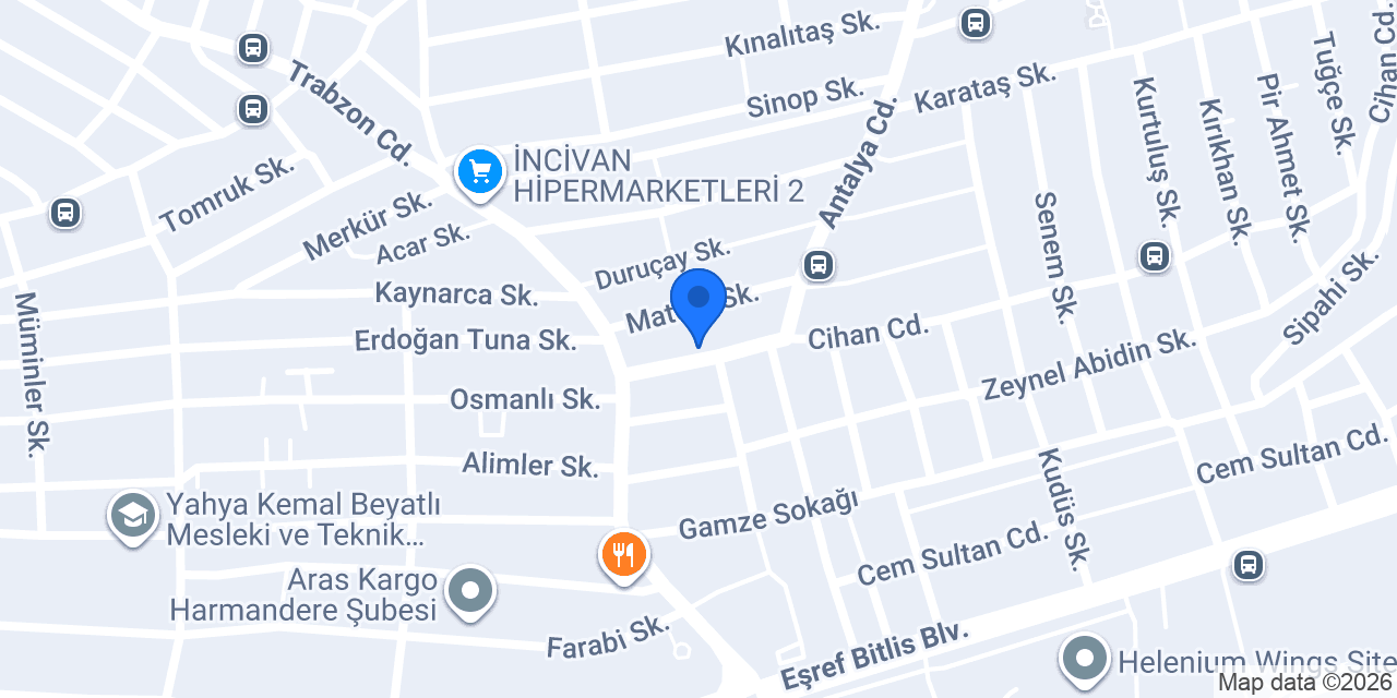 Kardüzü konumu