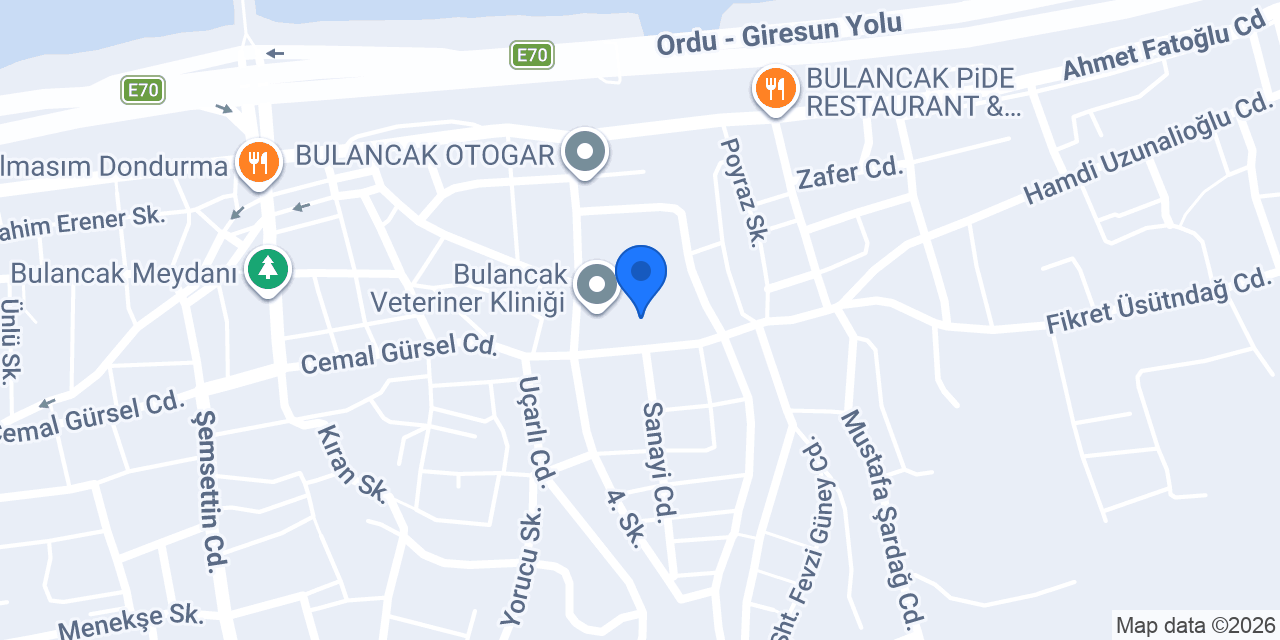 Wellnes Arena Plus konumu