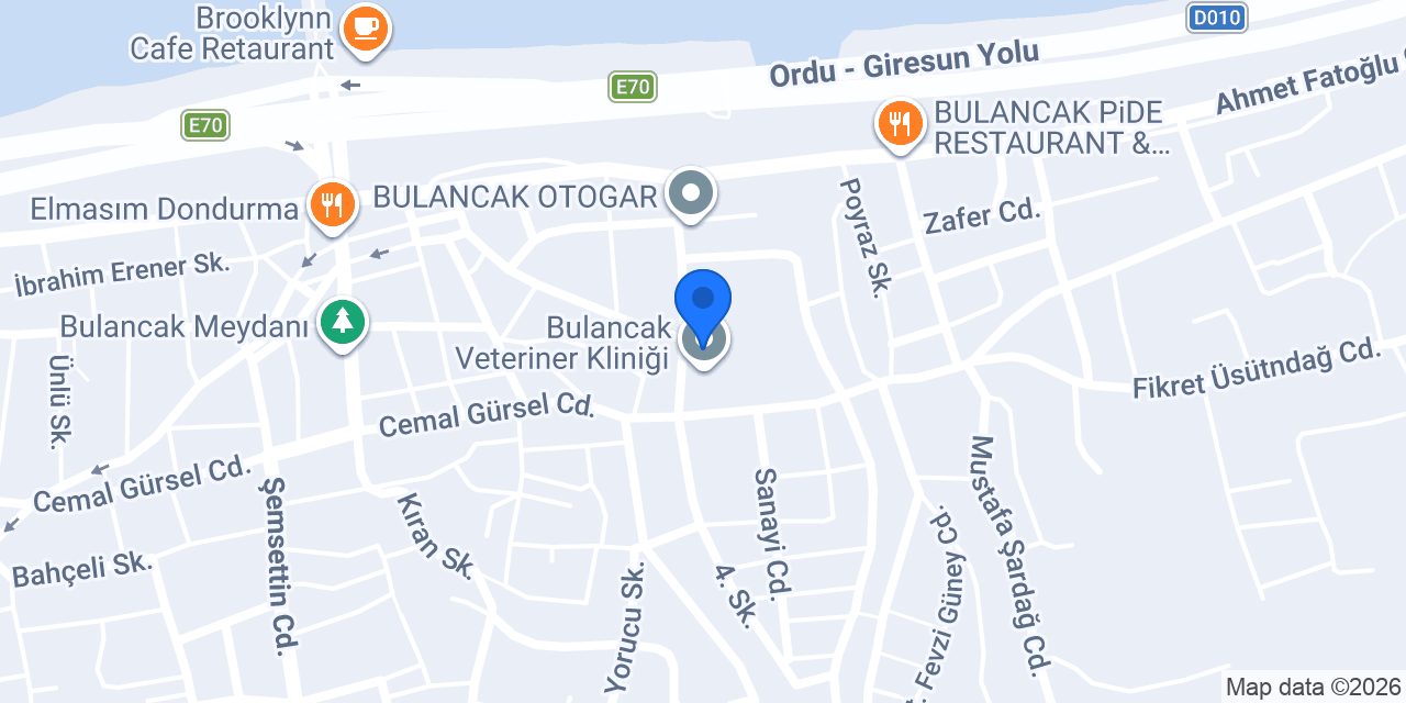 Asafzade Pastanesi konumu