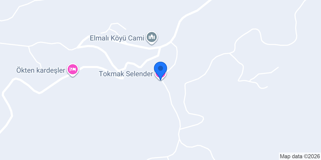 Tokmak Selender konumu