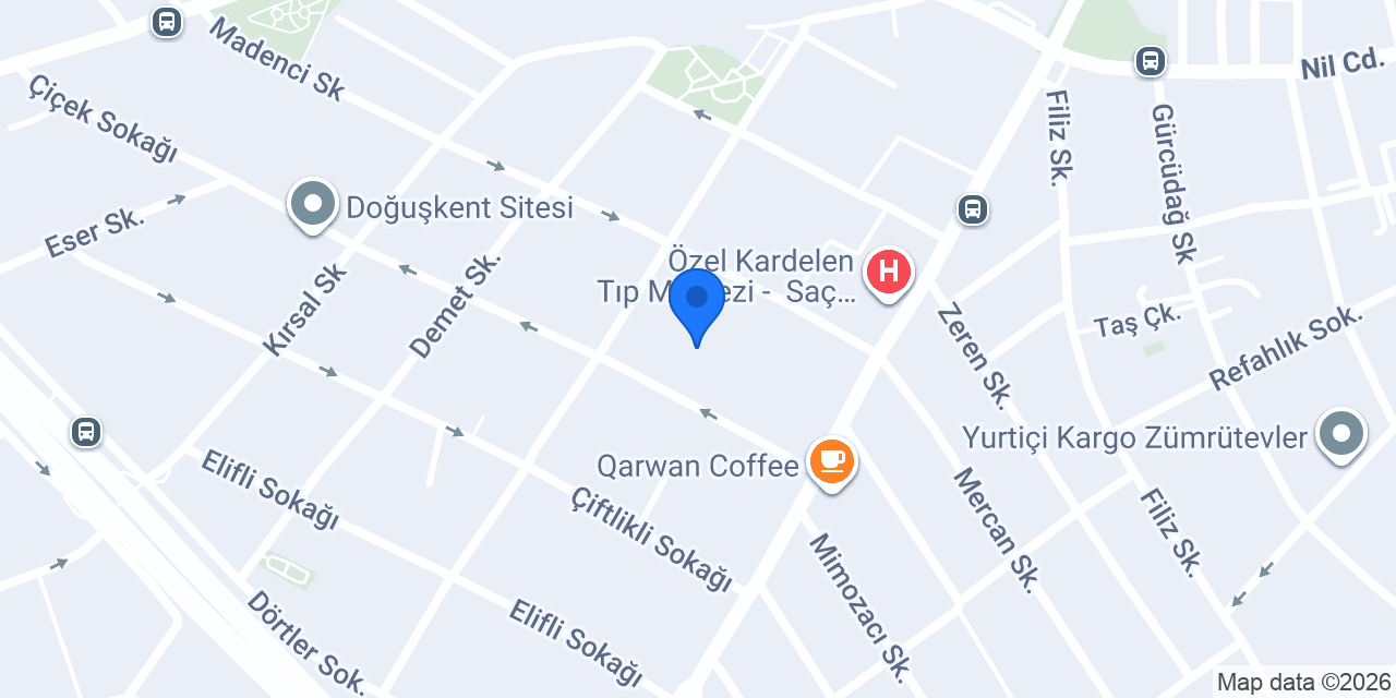 Doğuş Terzi konumu