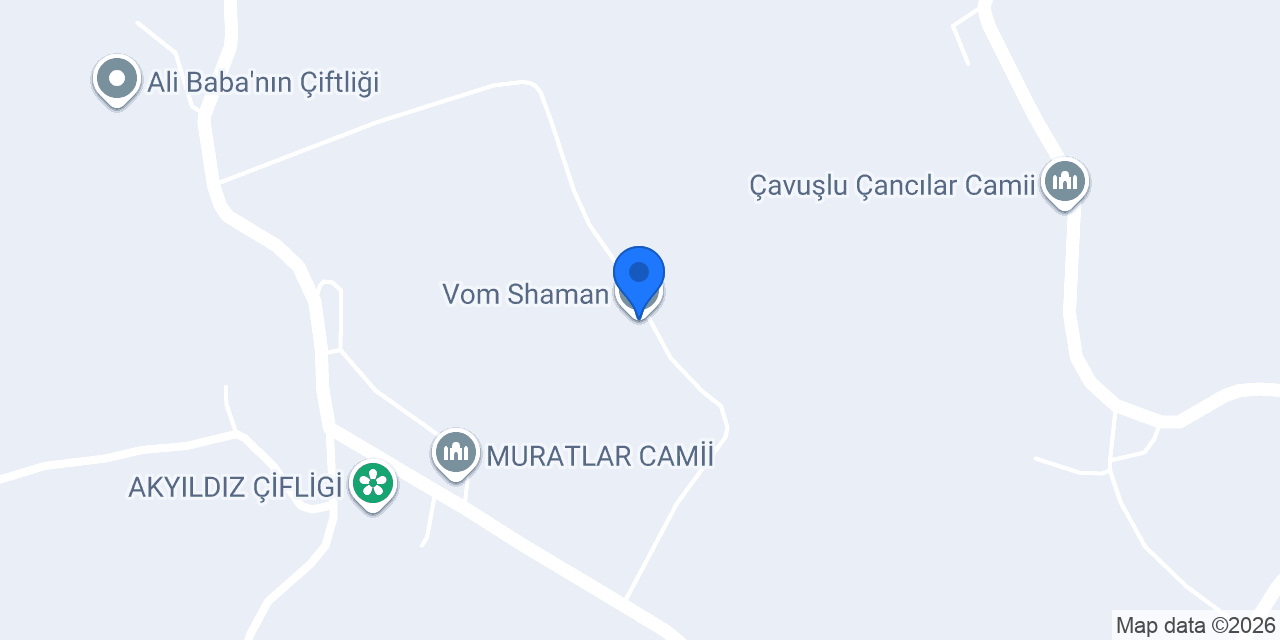 Vom Shaman konumu