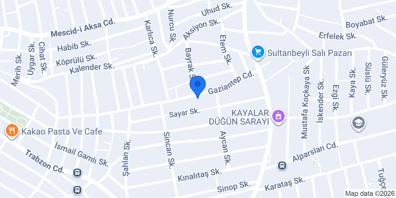 Senin terzin konumu