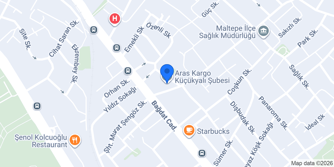 Aras Kargo Küçükyalı Şubesi konumu
