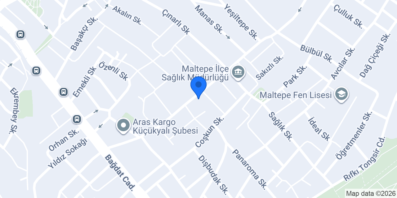 Orkide kasap konumu