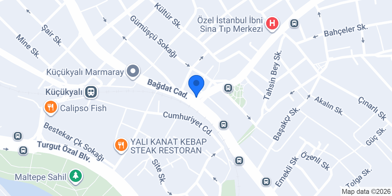 Artı Bir Dil konumu