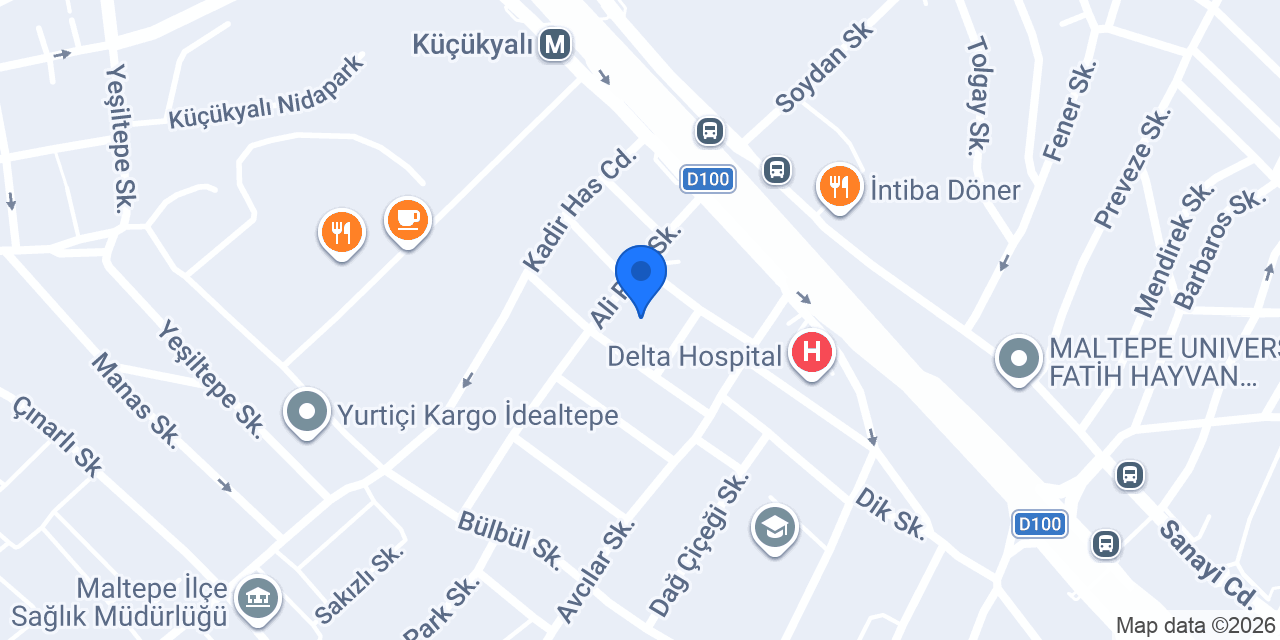 Maltepe Otomotiv konumu