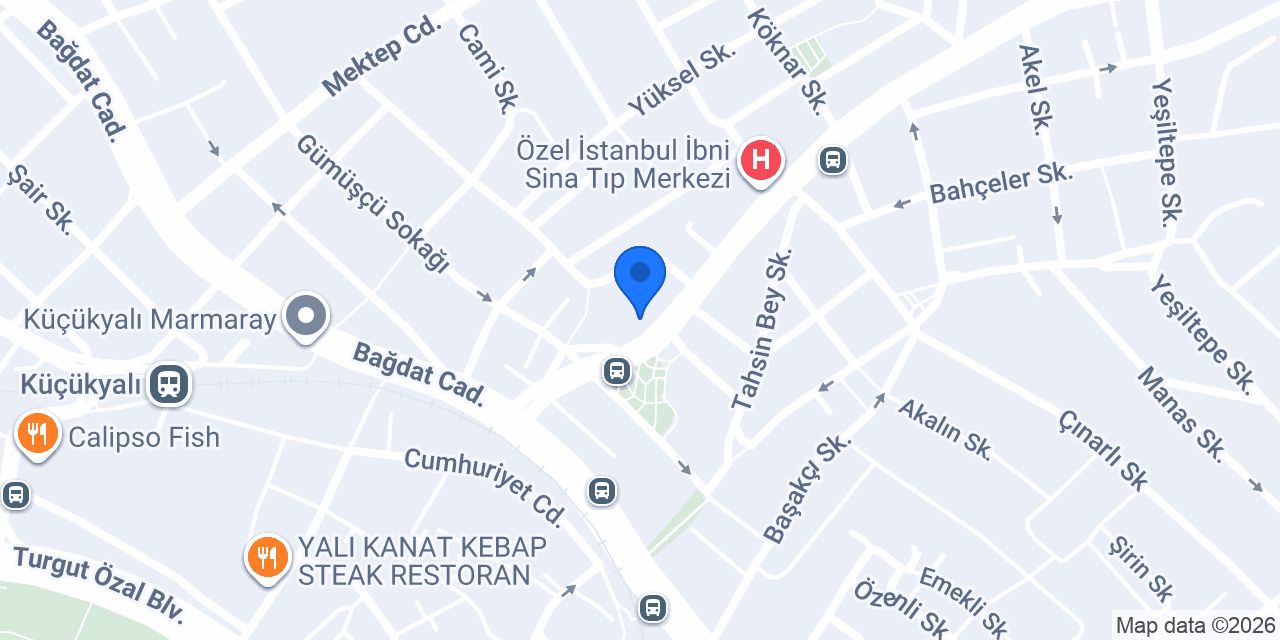 Küçükyalı Petshop konumu