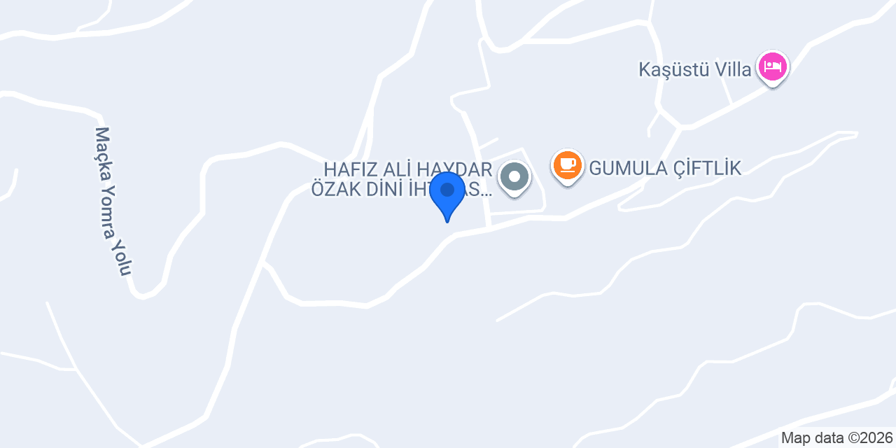 VİLLA ASEL konumu