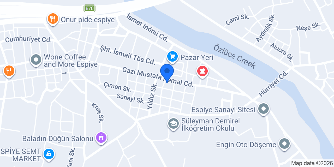 KAYALAR PANSİYON GIDA konumu