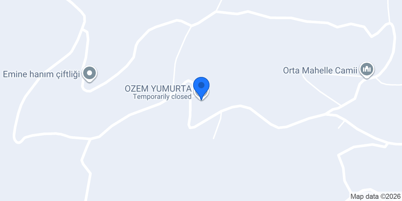 OZEM YUMURTA konumu