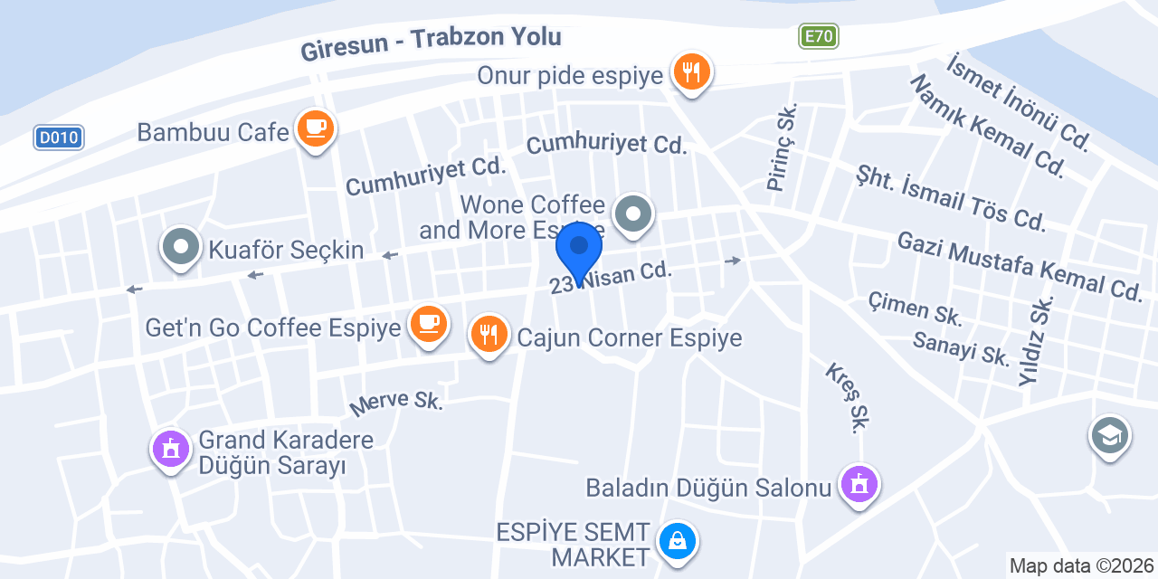 ARI ELEKTRİK konumu