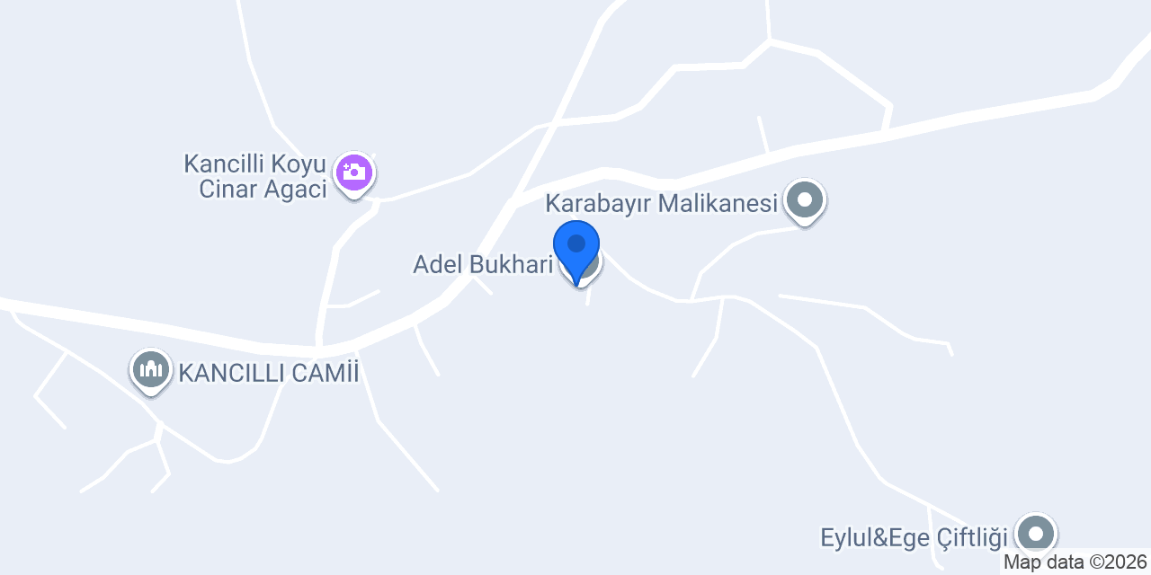Adel Bukhari konumu