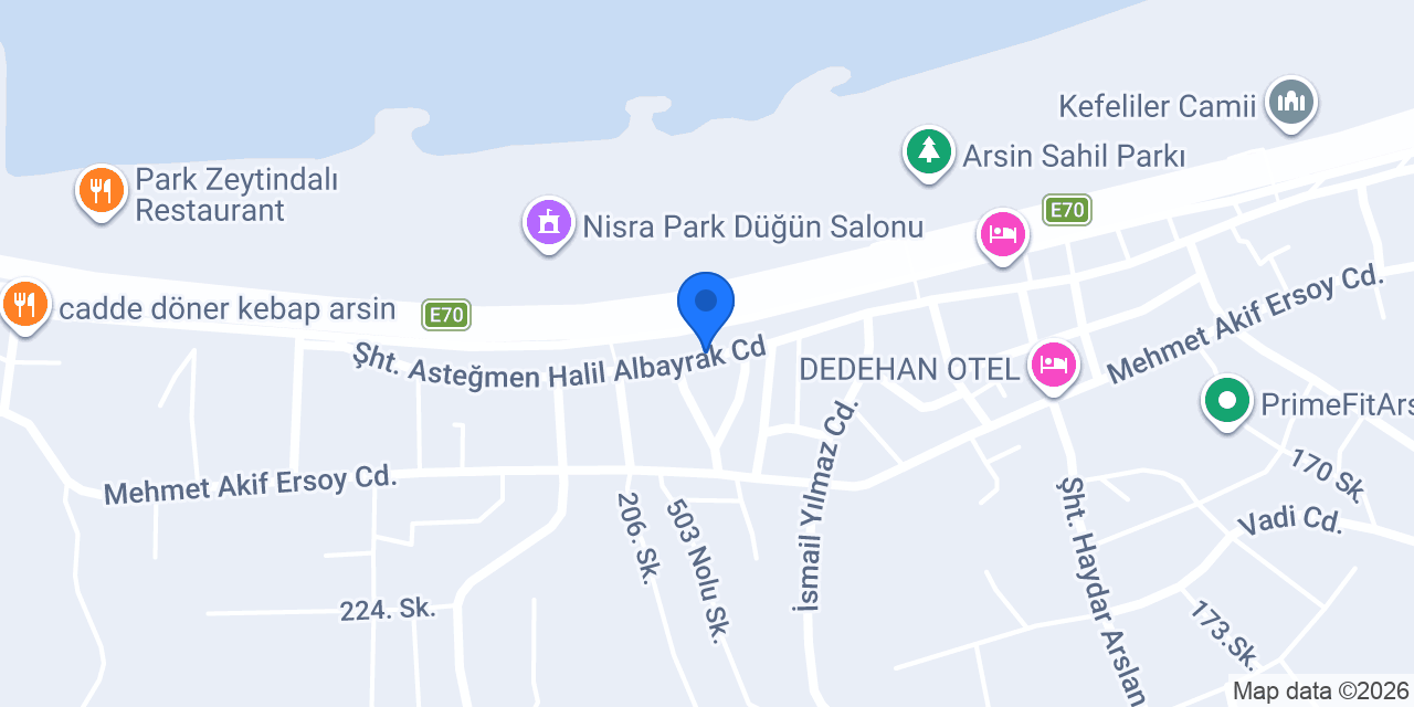 Aras Kargo Arsin Şubesi konumu