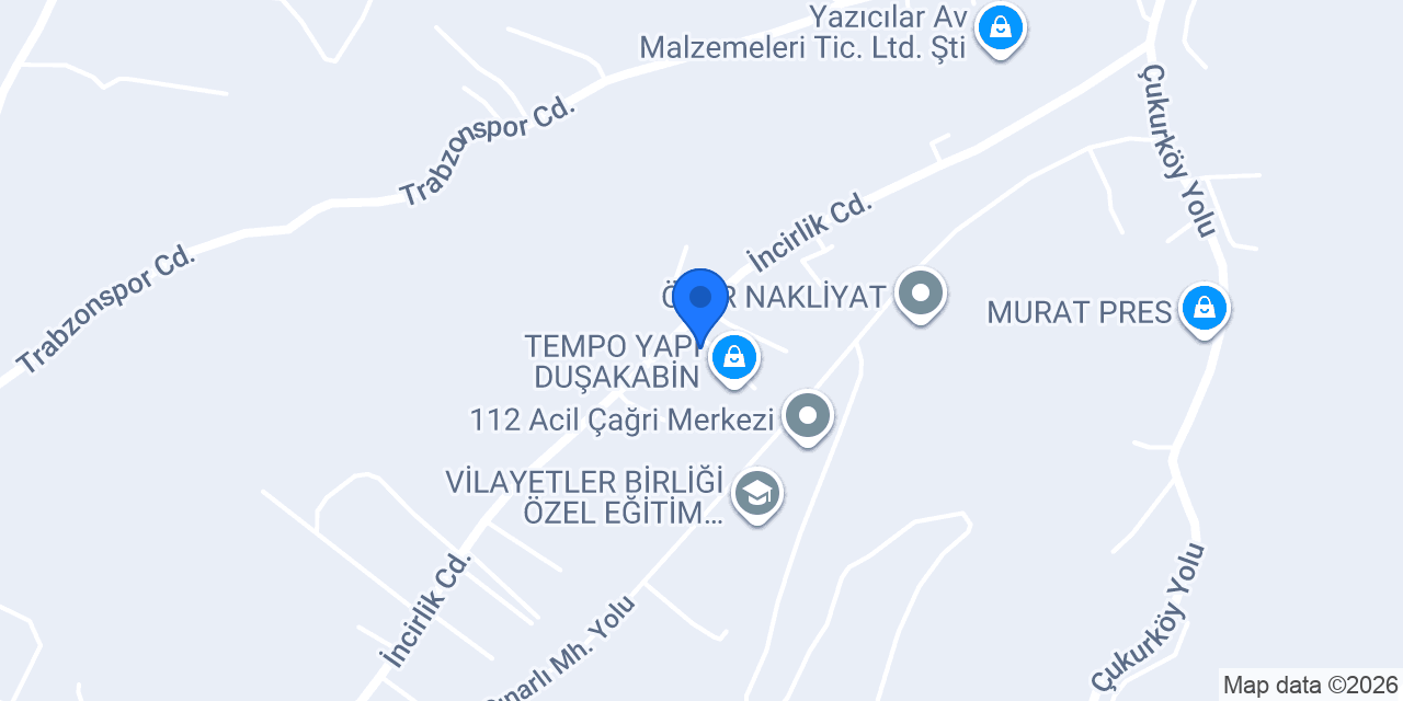 Dinamik Otomotiv konumu