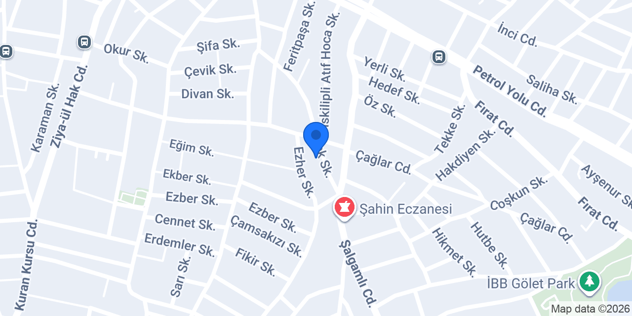Aslan Sineklik konumu