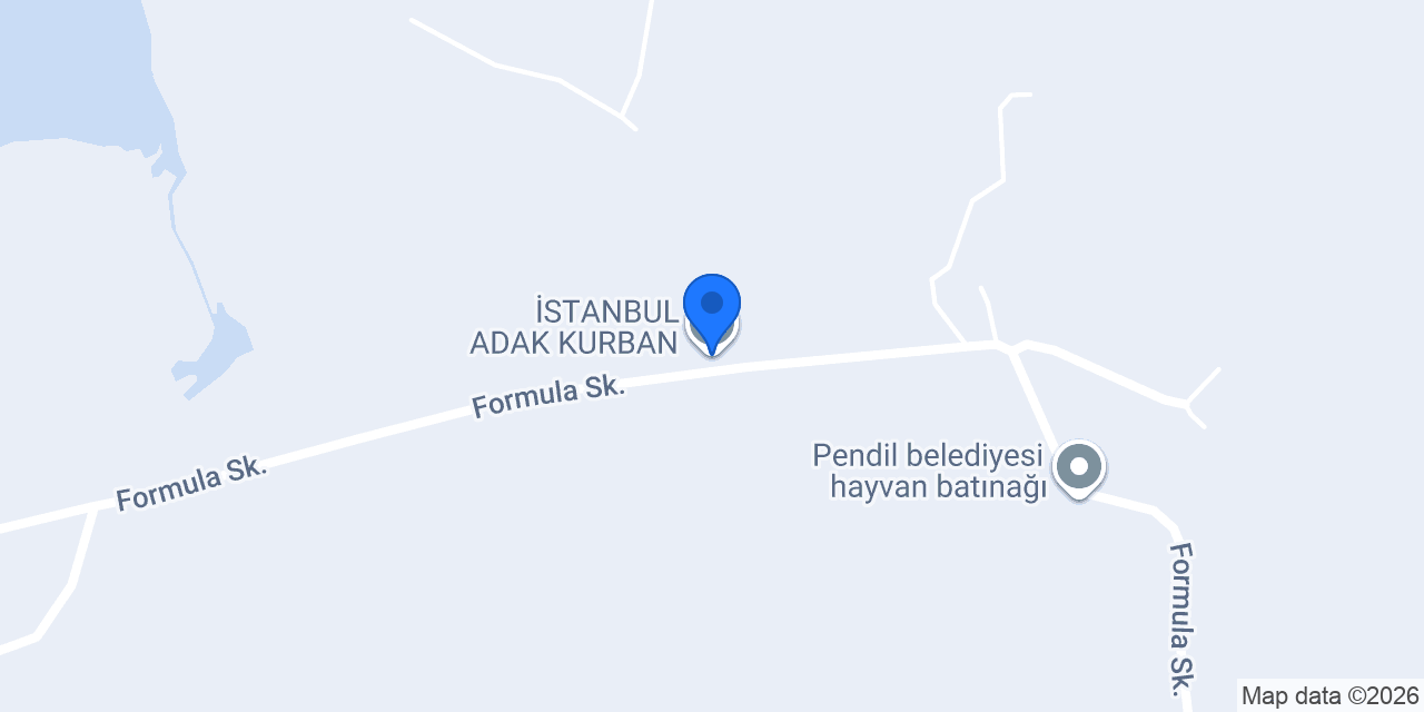 İSTANBUL ADAK KURBAN konumu