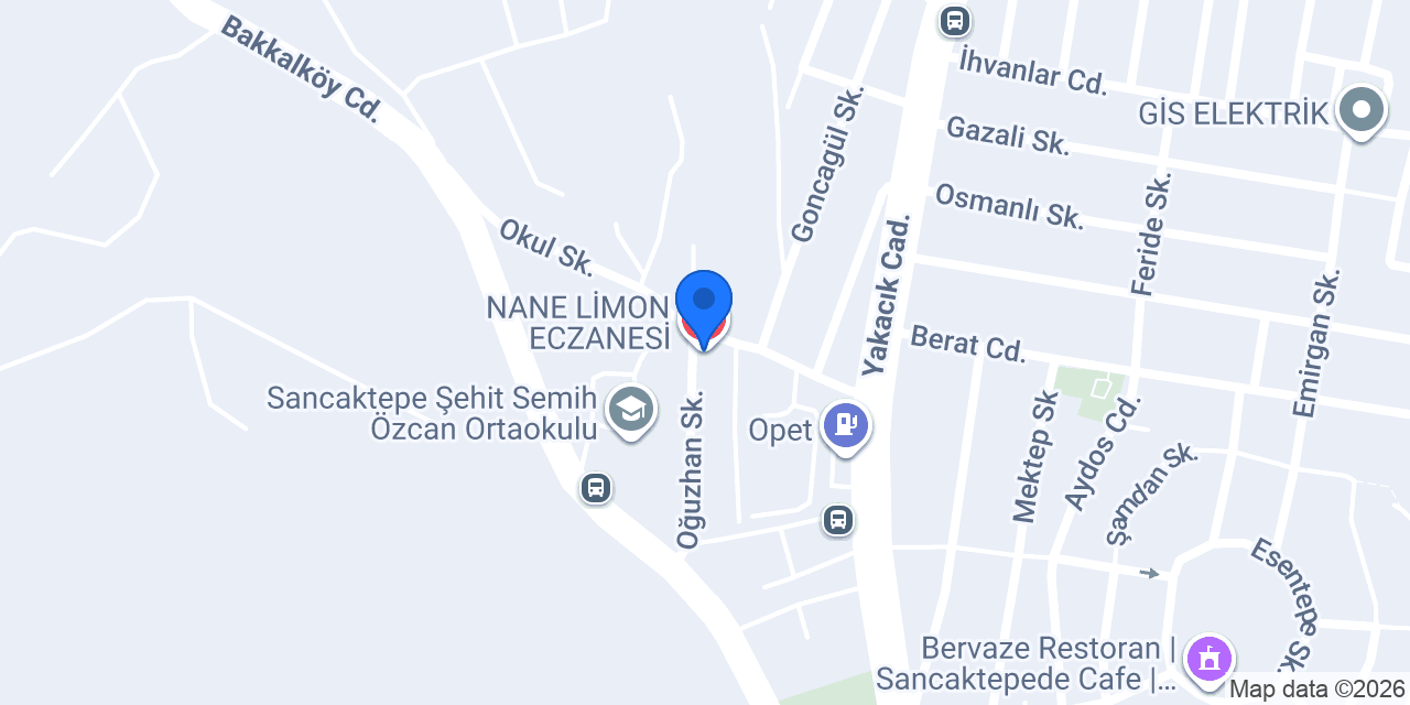 NANE LİMON ECZANESİ konumu