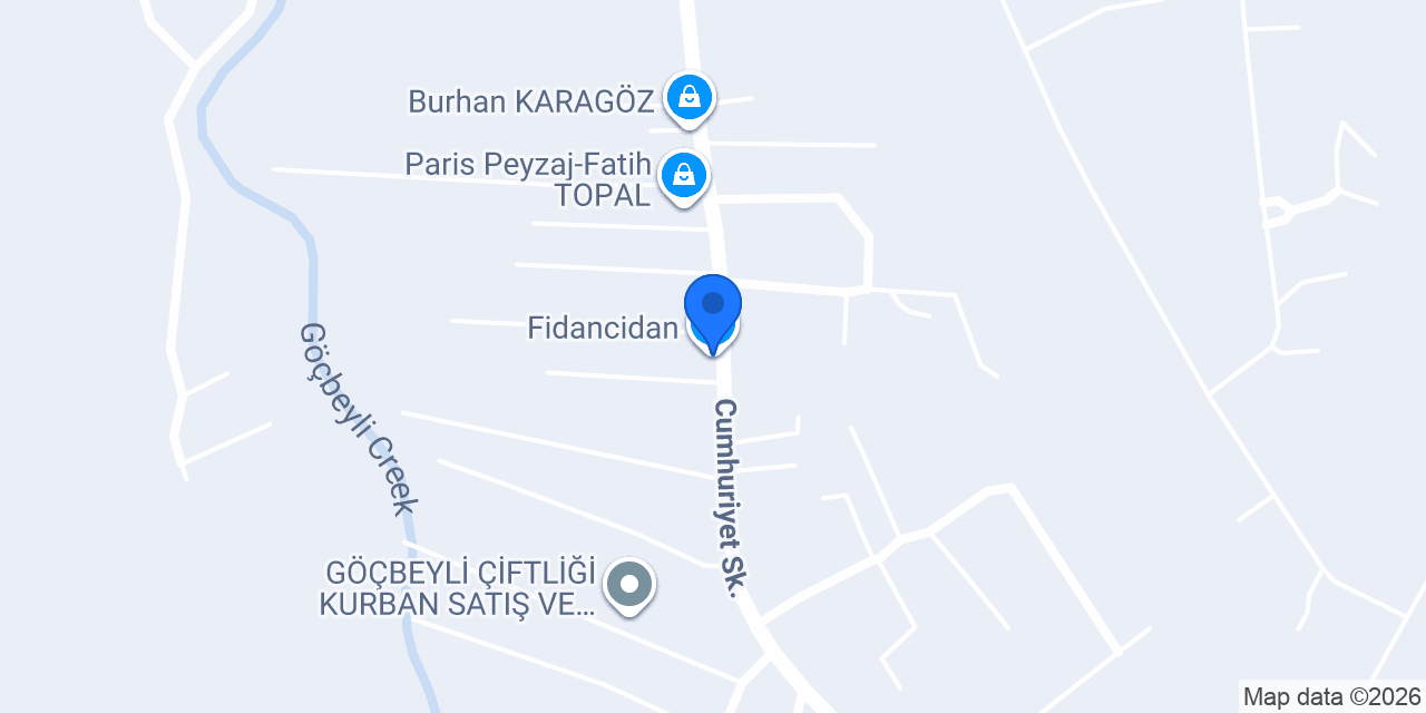 Fidancidan konumu