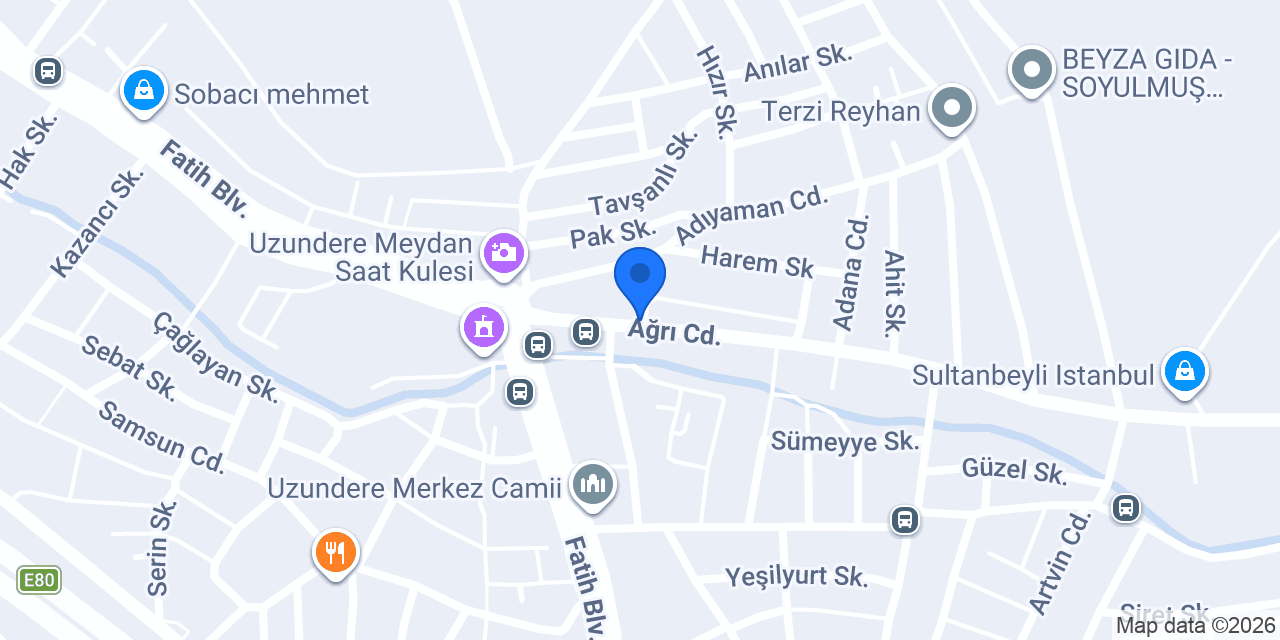 ARMA KARDEŞLER TRANSPALET konumu