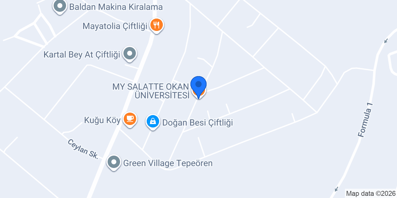 MY SALATTE OKAN ÜNİVERSİTESİ konumu