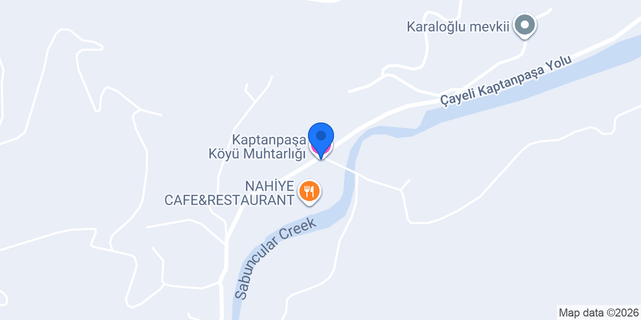 Kaptanpaşa Köyü Muhtarlığı konumu