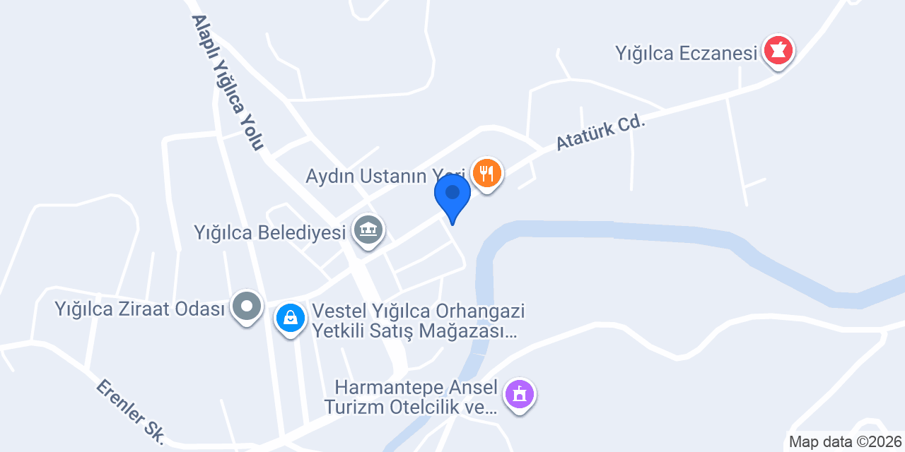 Orman ürünleri Çınar pastanesi konumu
