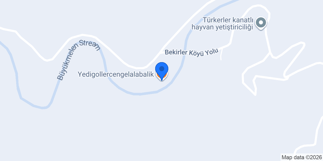 Yedigollercengelalabalik konumu