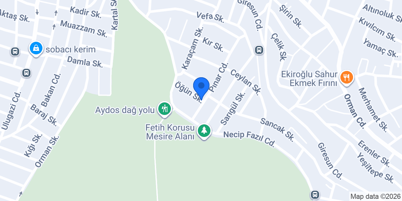 Dizayn Duvar Kağıdı konumu