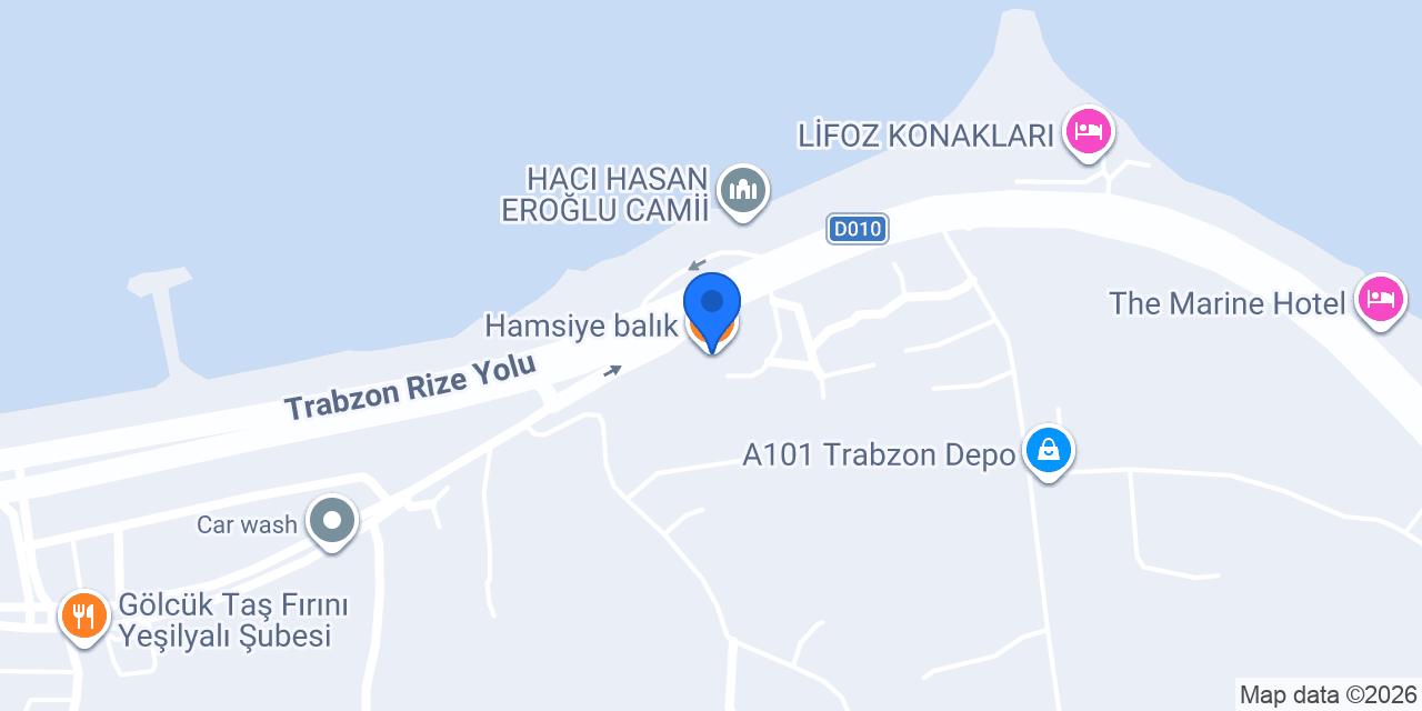 Hamsiye balık konumu