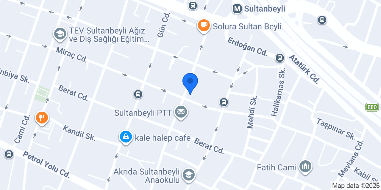 ALTINAY KOLEJİ konumu