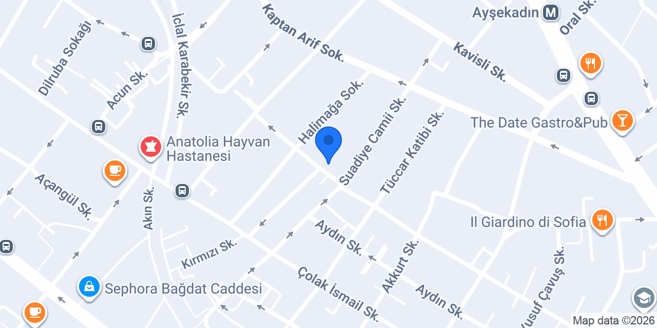 Suadiye Terzi konumu