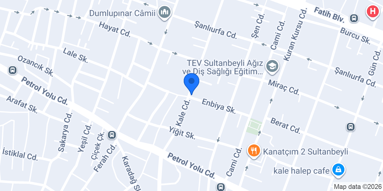 Zilif Regülatör ve Elektrik konumu
