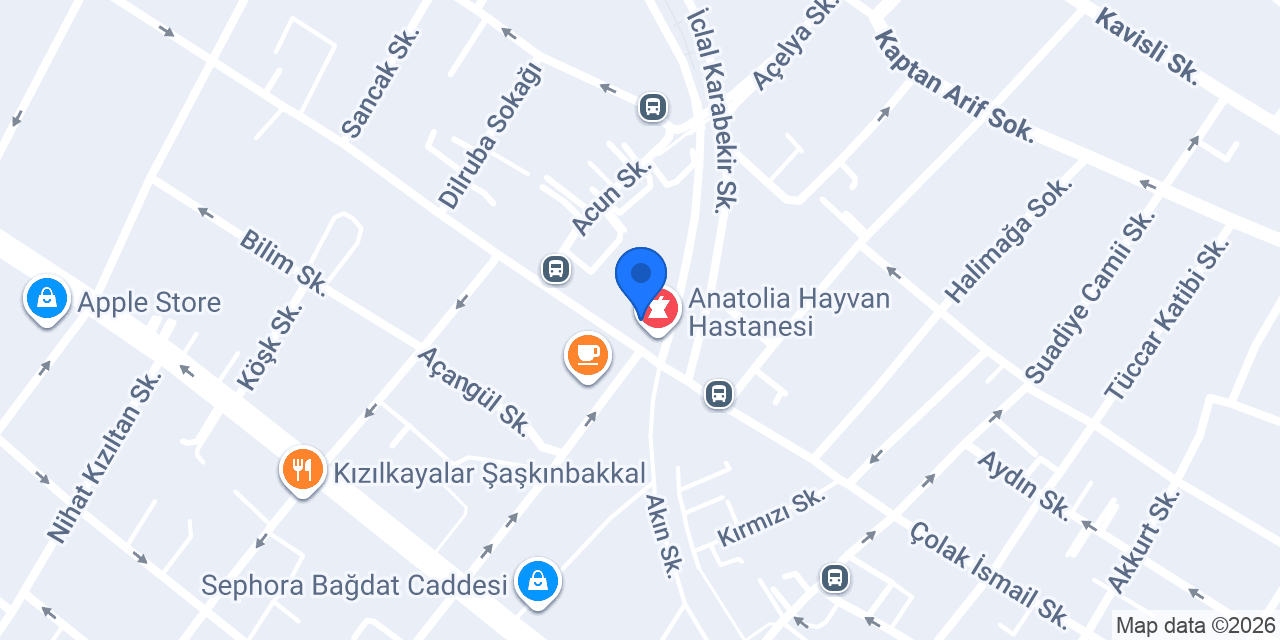 DK İç Mimarlık konumu