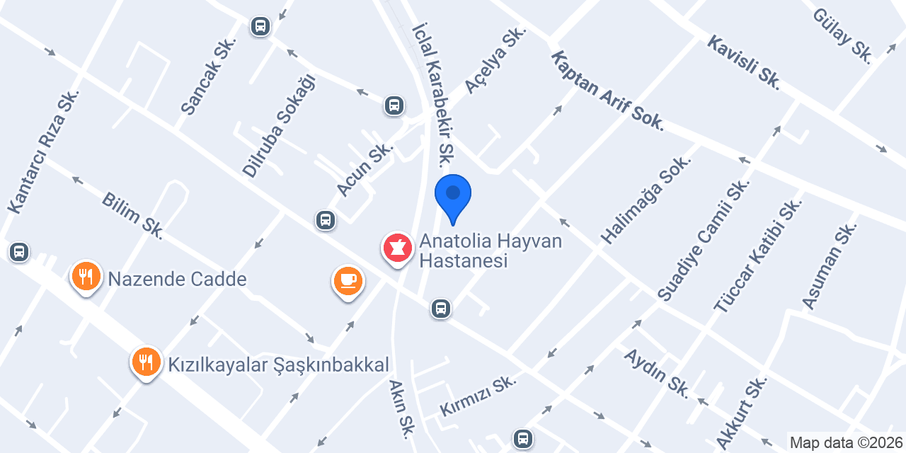 Adile Naşit Çocuk Yuvası konumu