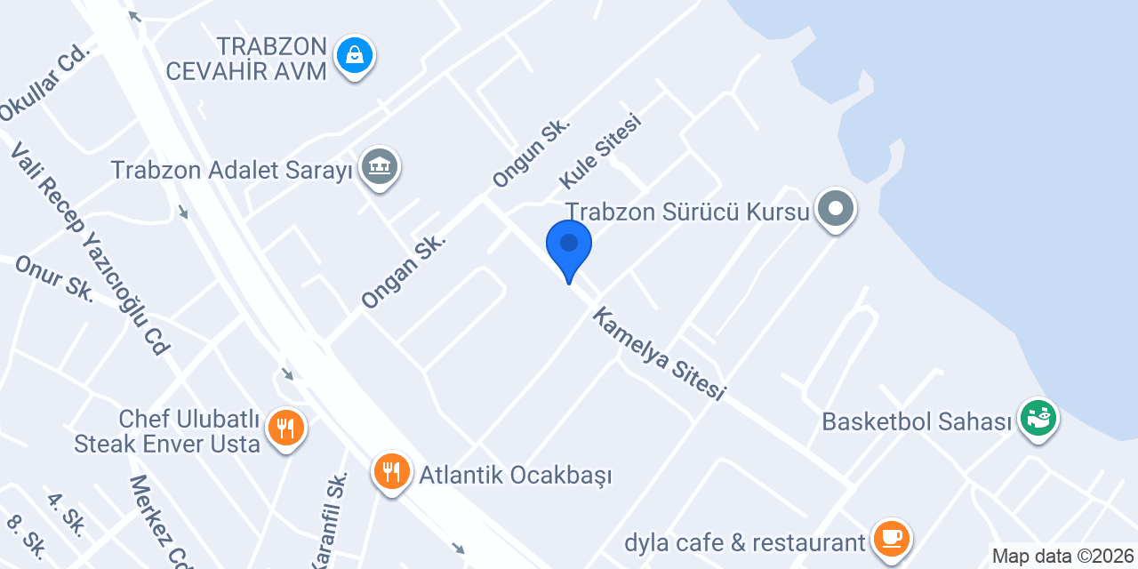 Ters Ev Trabzon konumu