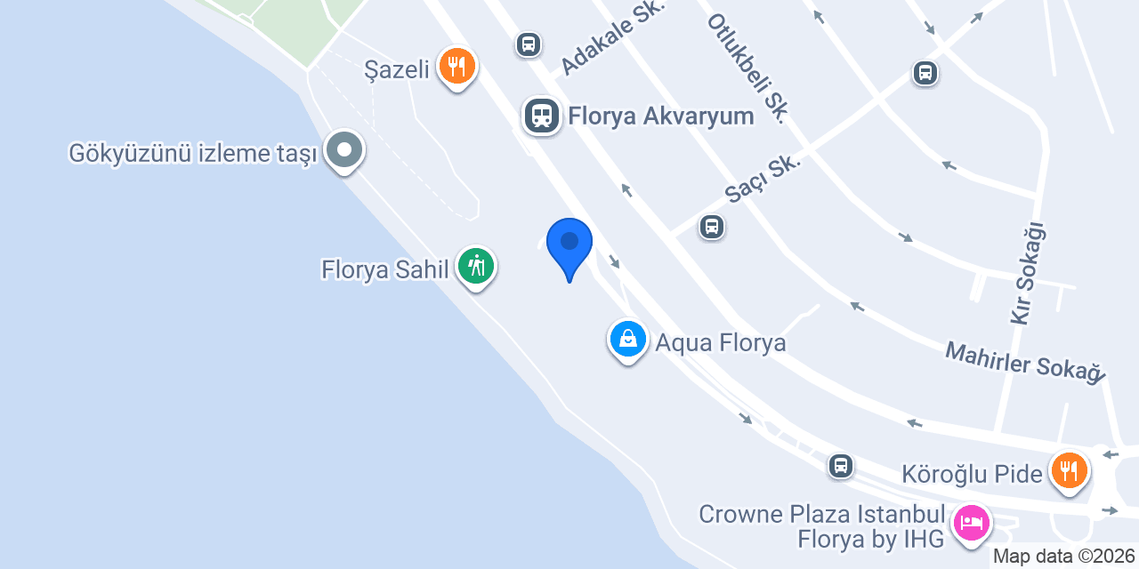 Karınca konumu