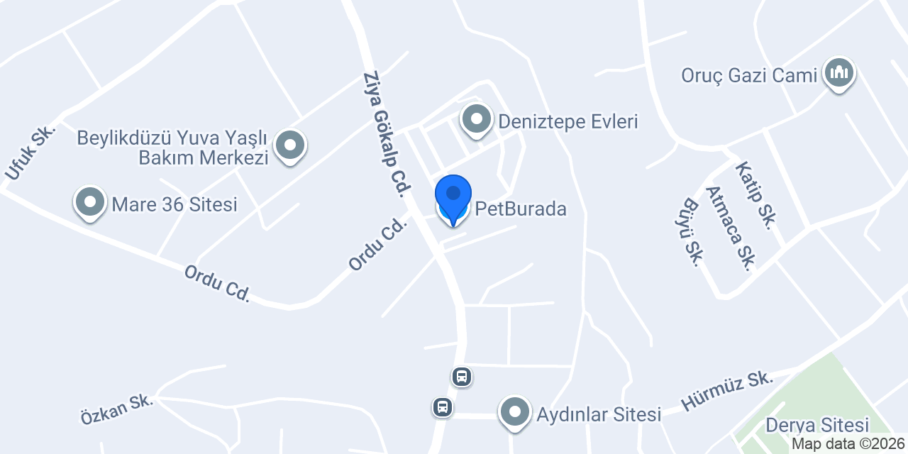 PetBurada konumu