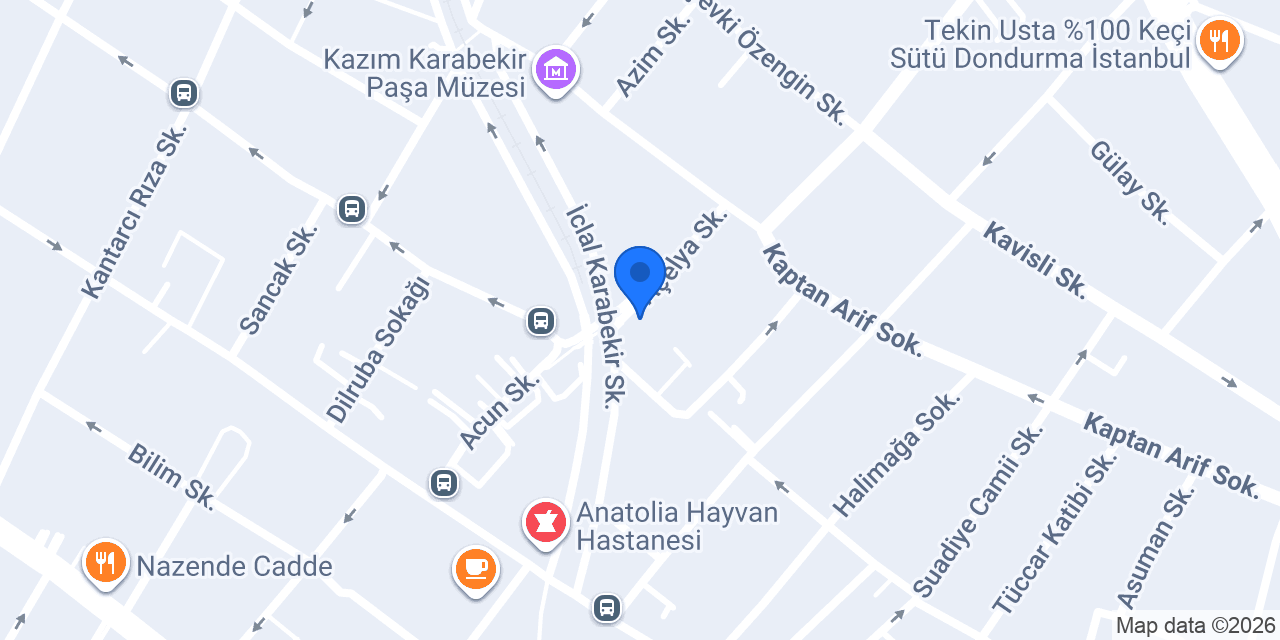 Gizem Dikimevi konumu