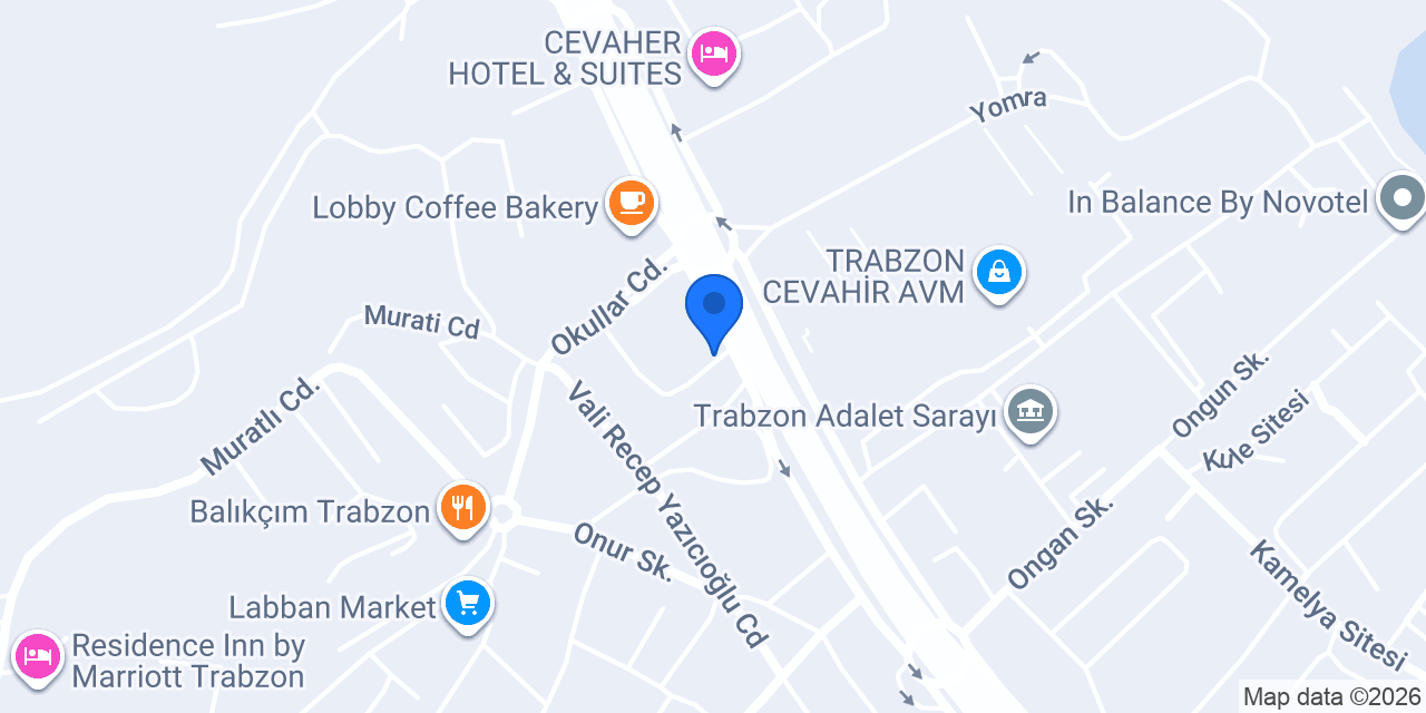Dilamed Trabzon Vip konumu