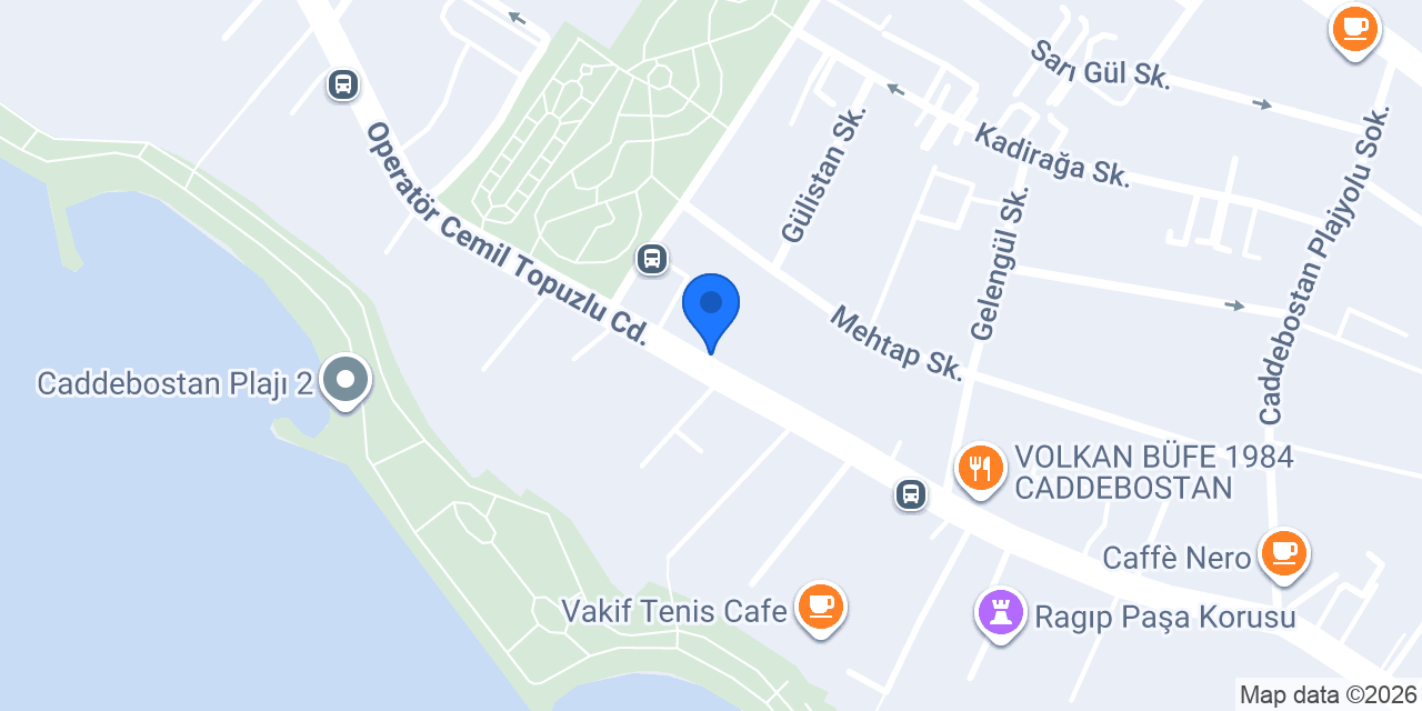 Autohome Türkiye konumu